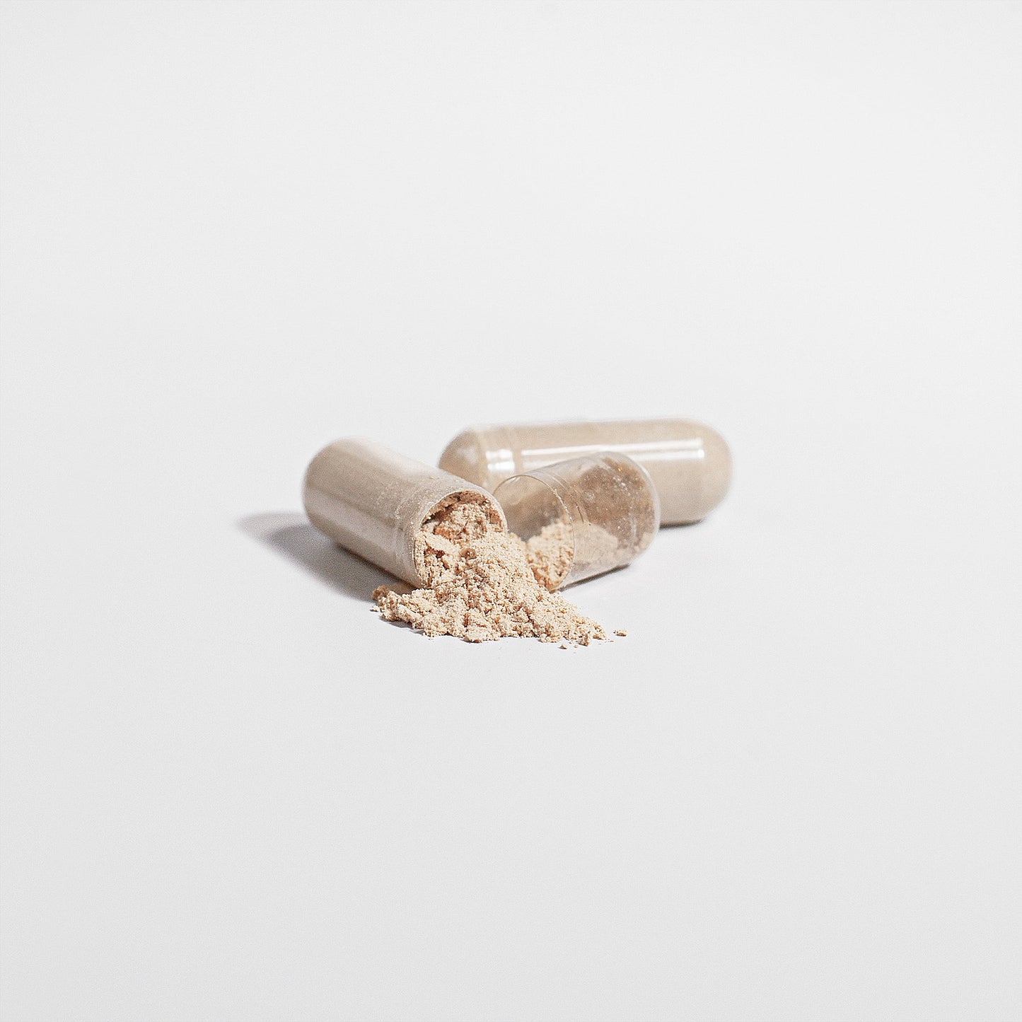 Lion's Mane Mushroom Capsules  | Truckers